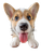Corgi Licking Lens Vinyl Car Decal Sticker – Waterproof & UV-Resistant 8.213333333333333"