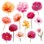 Watercolor Flower Panel Vinyl Car Decal Sticker – Waterproof & UV-Resistant 6.826666666666667"
