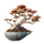 Bonsai Mushroom Vinyl Car Decal Sticker – Waterproof & UV-Resistant 6.826666666666667"