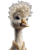 Fluffy Crested Goose Vinyl Car Decal Sticker – Waterproof & UV-Resistant 8.213333333333333"