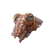 Camouflaged Cuttlefish Vinyl Car Decal Sticker – Waterproof & UV-Resistant 3.4133333333333336"