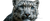 Snow Leopard Portrait V10 Vinyl Car Decal Sticker – Waterproof & UV-Resistant 4.