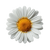 Single Daisy Flower V3 Vinyl Car Decal Sticker – Waterproof & UV-Resistant 6.826666666666667"
