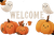 Halloween Welcome Sign V6 Vinyl Car Decal Sticker – Waterproof & UV-Resistant 2.986666666666667"
