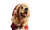 Festive Santa Dog Vinyl Car Decal Sticker – Waterproof & UV-Resistant 5.653333333333333"