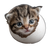 Kitten Hatching Egg V2 Vinyl Car Decal Sticker – Waterproof & UV-Resistant 6.826666666666667"