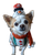 Chihuahua Snowman Costume Vinyl Car Decal Sticker – Waterproof & UV-Resistant 8.213333333333333"