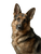 German Shepherd Illustration Vinyl Car Decal Sticker – Waterproof & UV-Resistant 4.16"