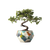 Geometric Pot Bonsai Vinyl Car Decal Sticker – Waterproof & UV-Resistant 6.826666666666667"