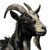 Goat Illustration Vinyl Car Decal Sticker – Waterproof & UV-Resistant 6.826666666666667"