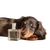 Dachshund With Perfume Vinyl Car Decal Sticker – Waterproof & UV-Resistant 3.4133333333333336"