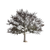 Young Oak Tree V2 Vinyl Car Decal Sticker – Waterproof & UV-Resistant 6.826666666666667"