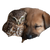 Puppy Snuggling Owl Vinyl Car Decal Sticker – Waterproof & UV-Resistant 3.4133333333333336"