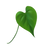 Stylized Pothos Leaf Vinyl Car Decal Sticker – Waterproof & UV-Resistant 6.826666666666667"