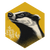 Hufflepuff Badger Emblem Vinyl Car Decal Sticker – Waterproof & UV-Resistant 3.4133333333333336"