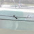 Enhance Stability & Control | Deluxe Anchor Trolley - Gunwale Mount | Black Nylon with Harken Pulleys