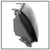 Enhance Your Vehicle's Appearance and Visibility | Xtune Halogen Headlight Assembly Set, Crystal Clear Lens, Black Housing