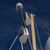 Hella Marine Lights Navigation Light 017.462-111 NaviLED PRO; Stern Light; Less Than 2 Watt Power Consumption; 3 Nautical Miles Visible Distance; IP67 Protection; LED Bulb; Clear Lens; White; Acrylic