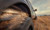 Protect Your 2006-2014 F-150 | Husky Liner Fender Well Liners | Set Of 2