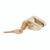 Husky Towing Trailer Coupler Lock | Secure Pad Lock Style | Weather-Resistant Brass | Easy Installation