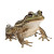 Real Frog White Background Vinyl Car Decal Sticker – Waterproof & UV-Resistant 4.0"
