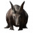 Aardvark Natural Lighting Pro Vinyl Car Decal Sticker – Waterproof & UV-Resistant 4.0"