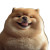 Chubby Puppy Winking Smiling Vinyl Car Decal Sticker – Waterproof & UV-Resistant 4.0"