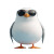 Cute Chubby Seagull Sunglasses Vinyl Car Decal Sticker – Waterproof & UV-Resistant 4.0"