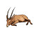 Dead Antelope Cartoon White Vinyl Car Decal Sticker – Waterproof & UV-Resistant 4.0"
