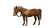 Baby Horse Chaos 20 Vinyl Car Decal Sticker – Waterproof & UV-Resistant 7.14"