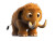 Baby Mammoth Brown Fur Vinyl Car Decal Sticker – Waterproof & UV-Resistant 5.31"