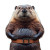 Beaver With Belt Vinyl Car Decal Sticker – Waterproof & UV-Resistant 4.0"