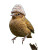 Bird Hat Iphone15 Realistic Vinyl Car Decal Sticker – Waterproof & UV-Resistant 4.11"