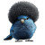 Blue Budgie Afro Wig Vinyl Car Decal Sticker – Waterproof & UV-Resistant 4.0"