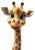 Cartoon Giraffe Portrait Vinyl Car Decal Sticker – Waterproof & UV-Resistant 4.0"