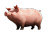 Cute Cheeky Pig Vinyl Car Decal Sticker – Waterproof & UV-Resistant 6.0"