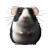 Cute Fat Rat Blackwhite Vinyl Car Decal Sticker – Waterproof & UV-Resistant 4.0"