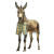 Donkey Beach Pants Vinyl Car Decal Sticker – Waterproof & UV-Resistant 4.0"
