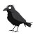 Dumb Crow Vinyl Car Decal Sticker – Waterproof & UV-Resistant 4.0"