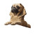 Egyptian Sphinx Pugs Vinyl Car Decal Sticker – Waterproof & UV-Resistant 4.0"