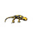 Fire Salamander Stream Vinyl Car Decal Sticker – Waterproof & UV-Resistant 4.0"