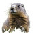 Groundhog Image Vinyl Car Decal Sticker – Waterproof & UV-Resistant 4.0"