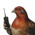 Grouse Handheld Walkie Talkie Vinyl Car Decal Sticker – Waterproof & UV-Resistant 4.0"