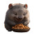 Happy Cute Wombat Eats Vinyl Car Decal Sticker – Waterproof & UV-Resistant 4.0"