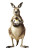Kangaroo Penguin Pouch Vinyl Car Decal Sticker – Waterproof & UV-Resistant 4.0"