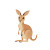 Kangaroo White Background Cartoon Vinyl Car Decal Sticker – Waterproof & UV-Resistant 4.0"