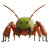 Monstrous Fire Ant Vinyl Car Decal Sticker – Waterproof & UV-Resistant 4.0"