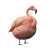 Pink Flamingo Swollen Belly Vinyl Car Decal Sticker – Waterproof & UV-Resistant 4.0"