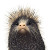 Porcupine Illustrated Greetings Card Vinyl Car Decal Sticker – Waterproof & UV-Resistant 4.0"