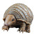 Short Legs Armadillo Vinyl Car Decal Sticker – Waterproof & UV-Resistant 4.0"